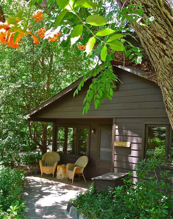 Briar Patch Inn Sedona Exteriör bild